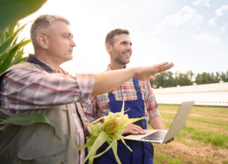 Crop Insurance: Supporting Agricultural Resilience