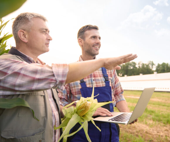 Crop Insurance: Supporting Agricultural Resilience