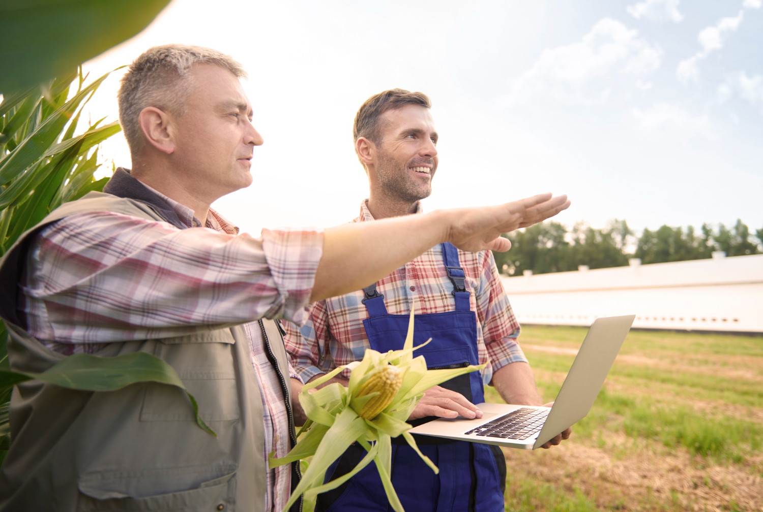 Crop Insurance: Supporting Agricultural Resilience