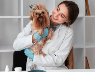 Pet Insurance Protecting Furry Friends