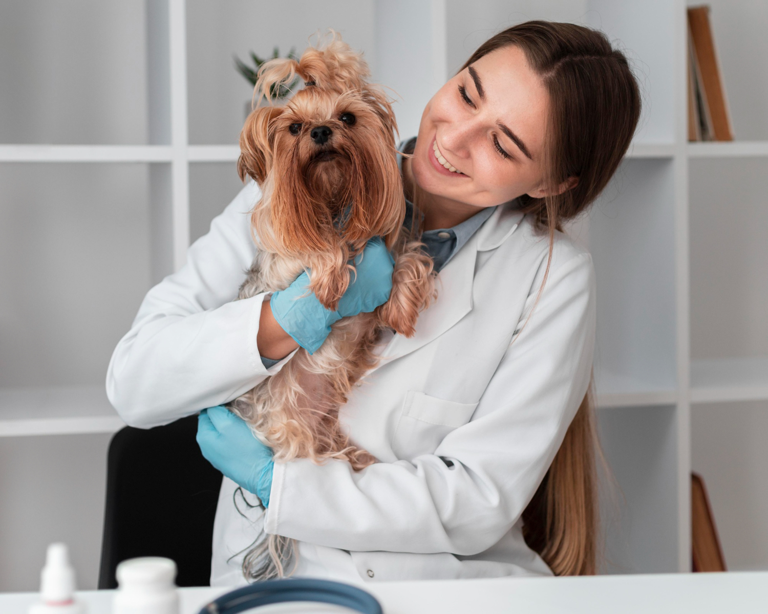 Pet Insurance Protecting Furry Friends